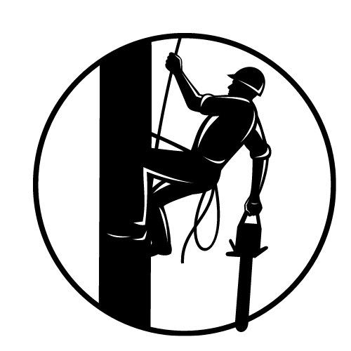 Qualified Team