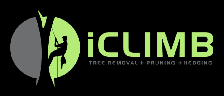 A logo for iclimb tree removal pruning and hedging
