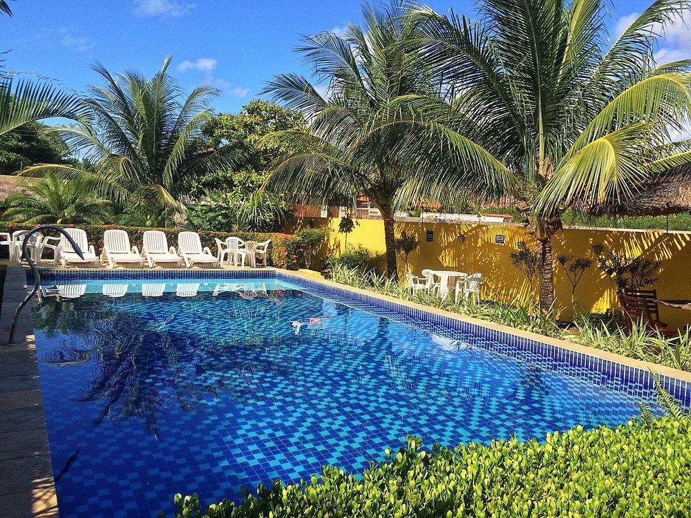 Uma grande piscina cercada por palmeiras e cadeiras em um dia ensolarado.