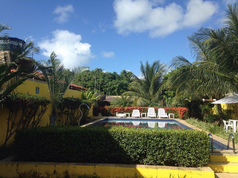 Uma grande piscina rodeada por palmeiras e arbustos