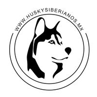 criadero de husky siberiano