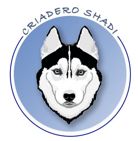 criadero husky siberiano