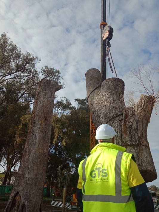 A stump removal expert in Perth