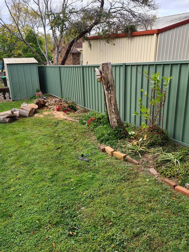 Colorbond Fencing in Taree D & B Fencing