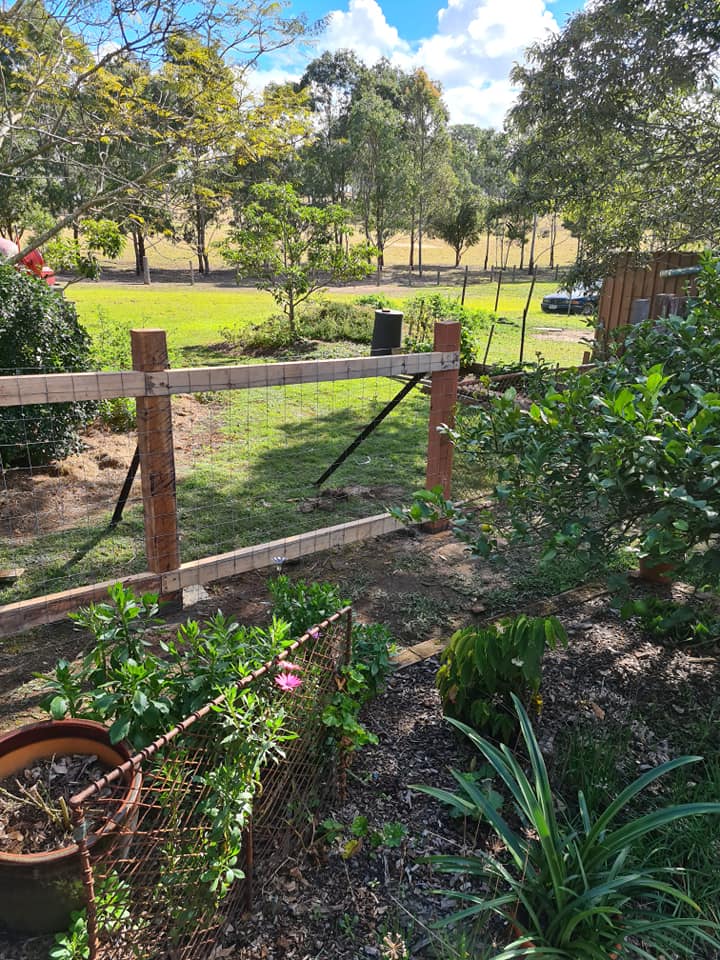 Rural Fencing in Taree D & B Fencing