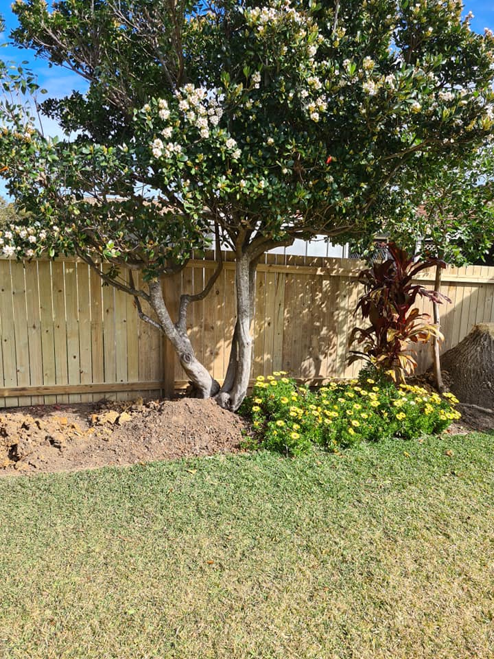D & B Fencing Fencing Contractors in Taree