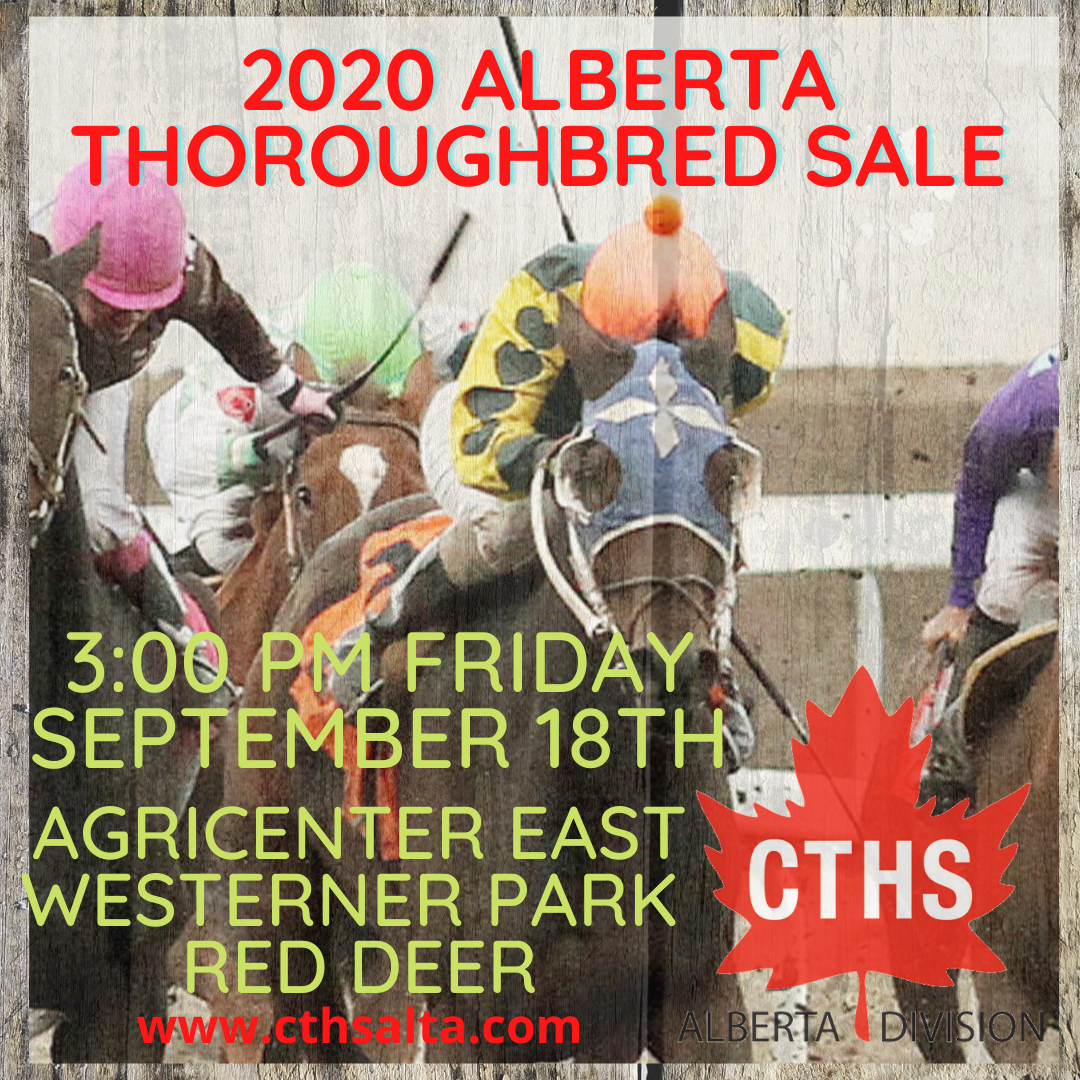 Canadian Thoroughbred Horse Society Sales Update