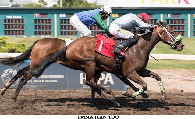 Racing Club - Horse Ownership in Alberta