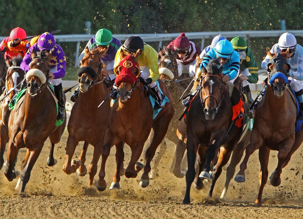 WESTERN CANADIAN TRIPLE CROWN