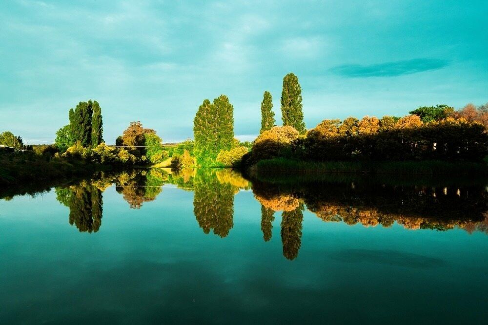 A Lake With Trees on the Shore and Trees Reflected in the Water — TeeJay Mechanical Repairs In Queanbeyan, NSW