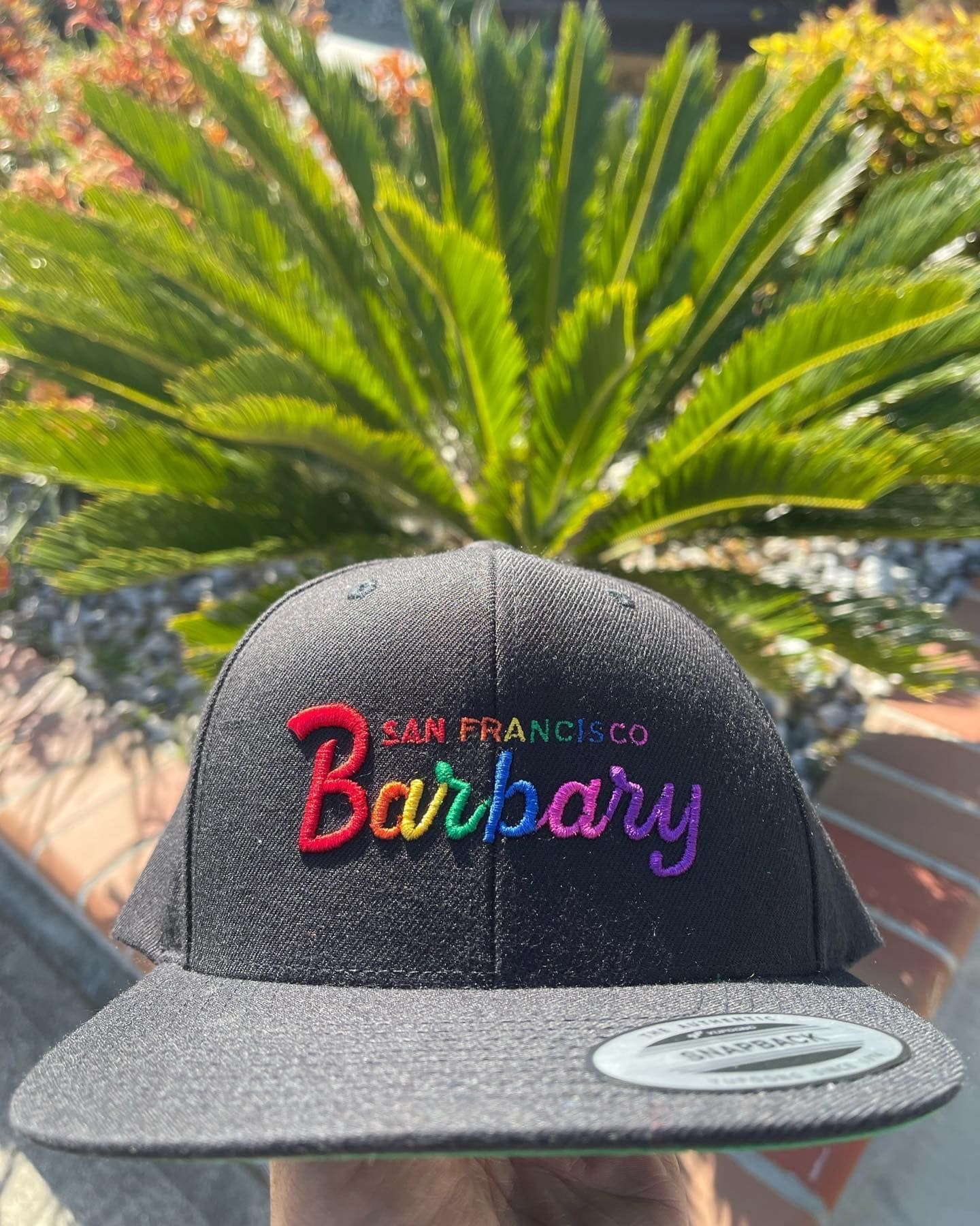 A person is holding a black barbary hat in front of a palm tree.