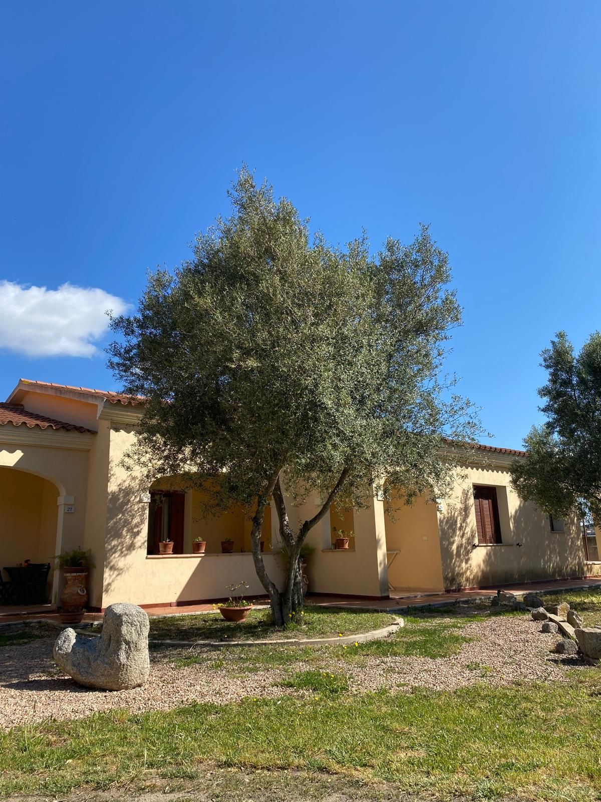 Casa a un solo piano in stucco con un grande albero nel giardino anteriore sotto un cielo azzurro limpido