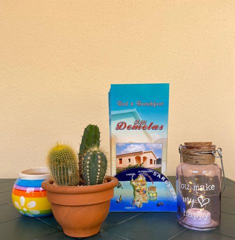 Piccolo vaso di terracotta con cactus e pianta grassa accanto a un barattolo colorato, una scatola e un barattolo di vetro su un tavolo.