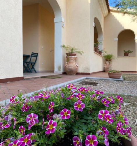Cortile con fiori rosa in primo piano, passaggio ad arco in stucco e piante in vaso nella calda luce del sole