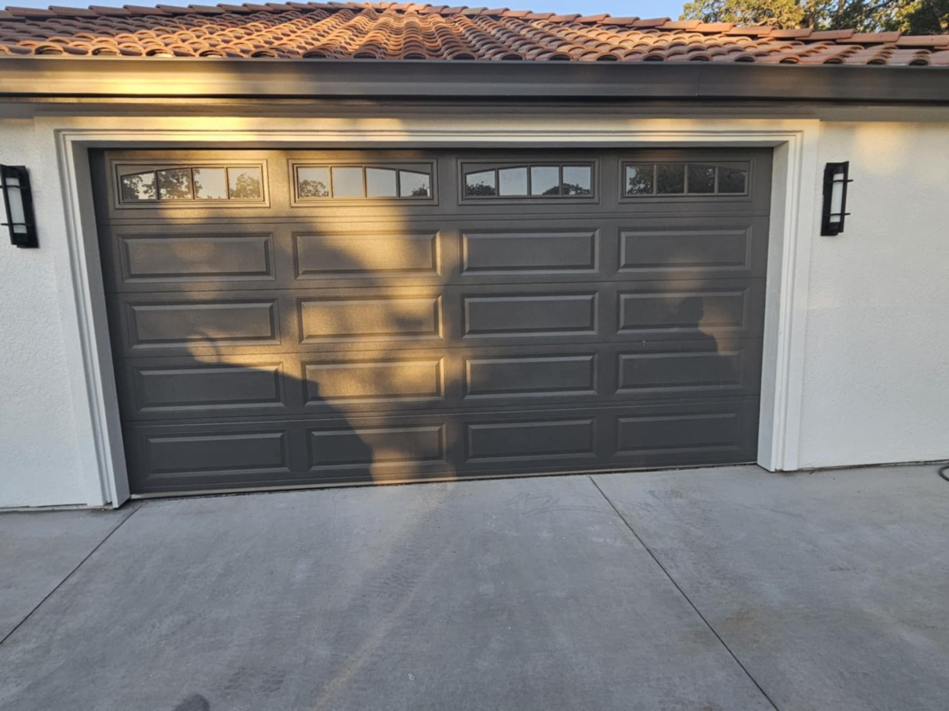 A garage door with a shadow of a tree on it