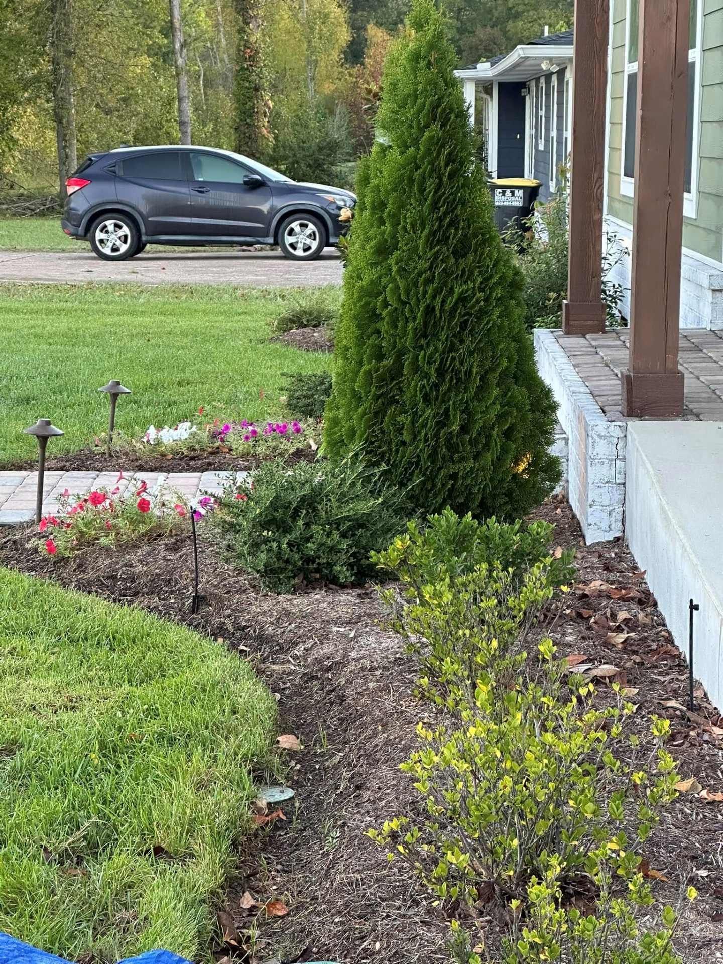 A manicured garden bed with a tall evergreen, small bushes, and colorful flowers, adjacent to a porch and parked car.