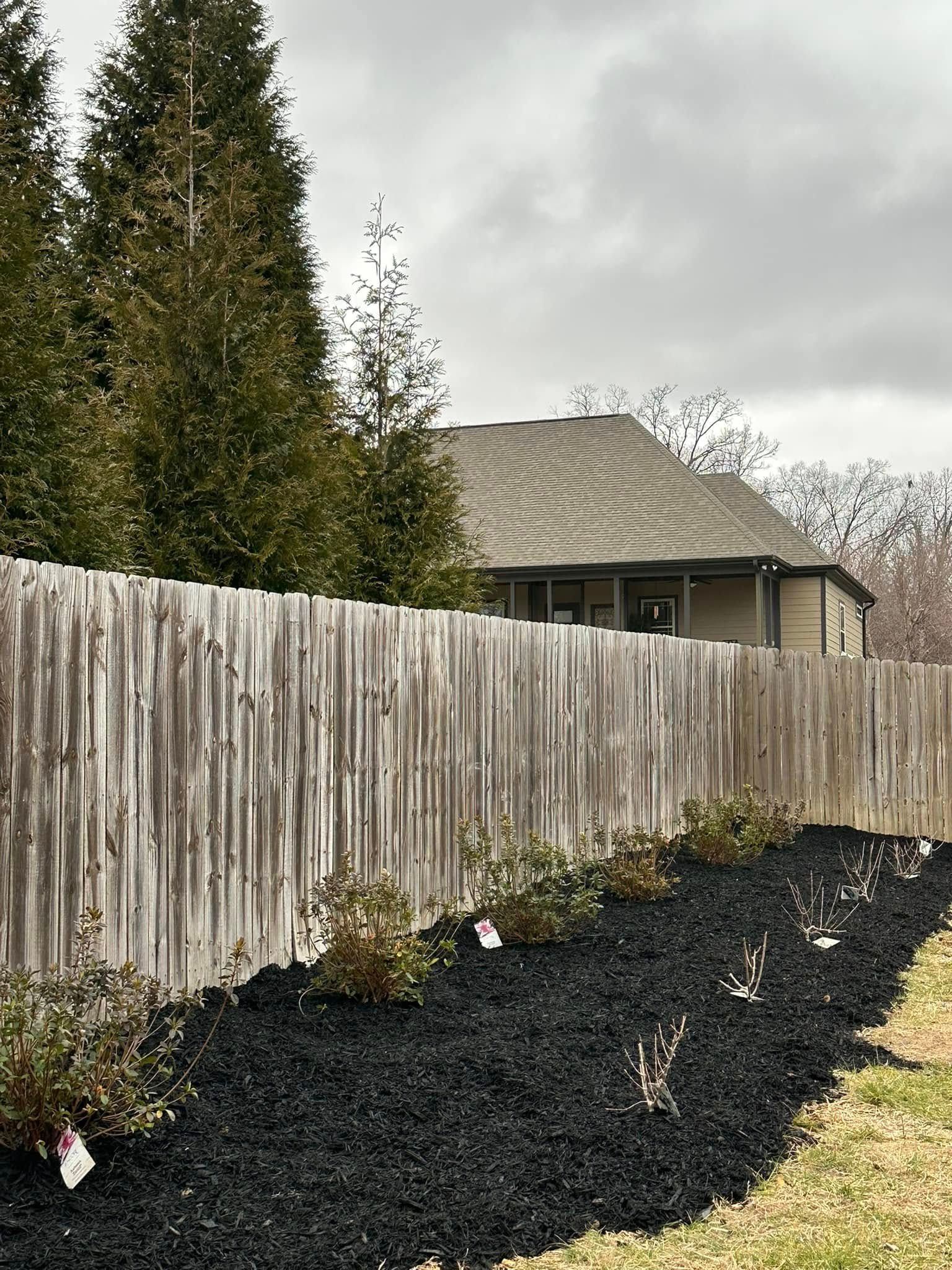 A weathered wooden fence runs behind a garden bed covered in dark black mulch, set against a backdrop of tall trees.