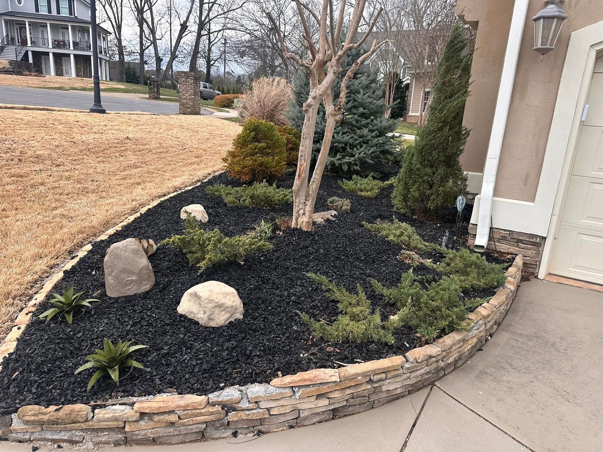 A stone-bordered garden bed with black mulch, various evergreen shrubs, and large rocks next to a house foundation.
