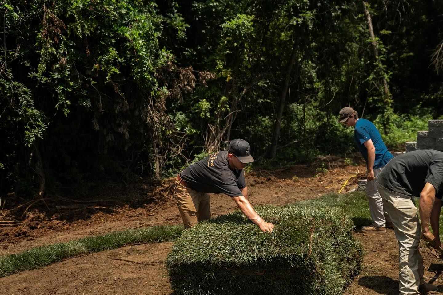 Three people work outdoors on a sunny day to install rectangular grass sod rolls on a prepared soil surface.