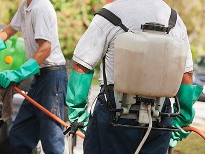 Pest Control Service — Men Doing Pest Control in Madera, CA