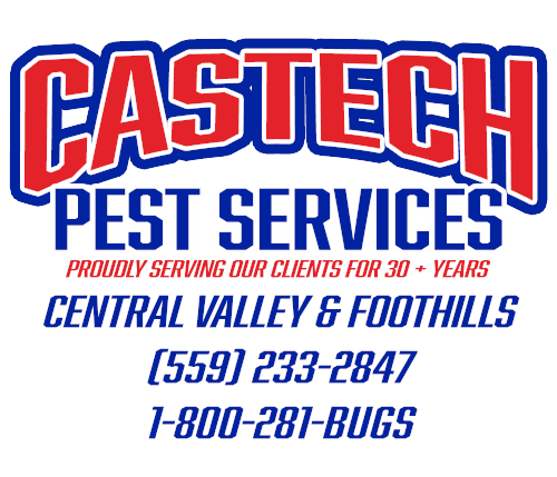 Pest control services near you