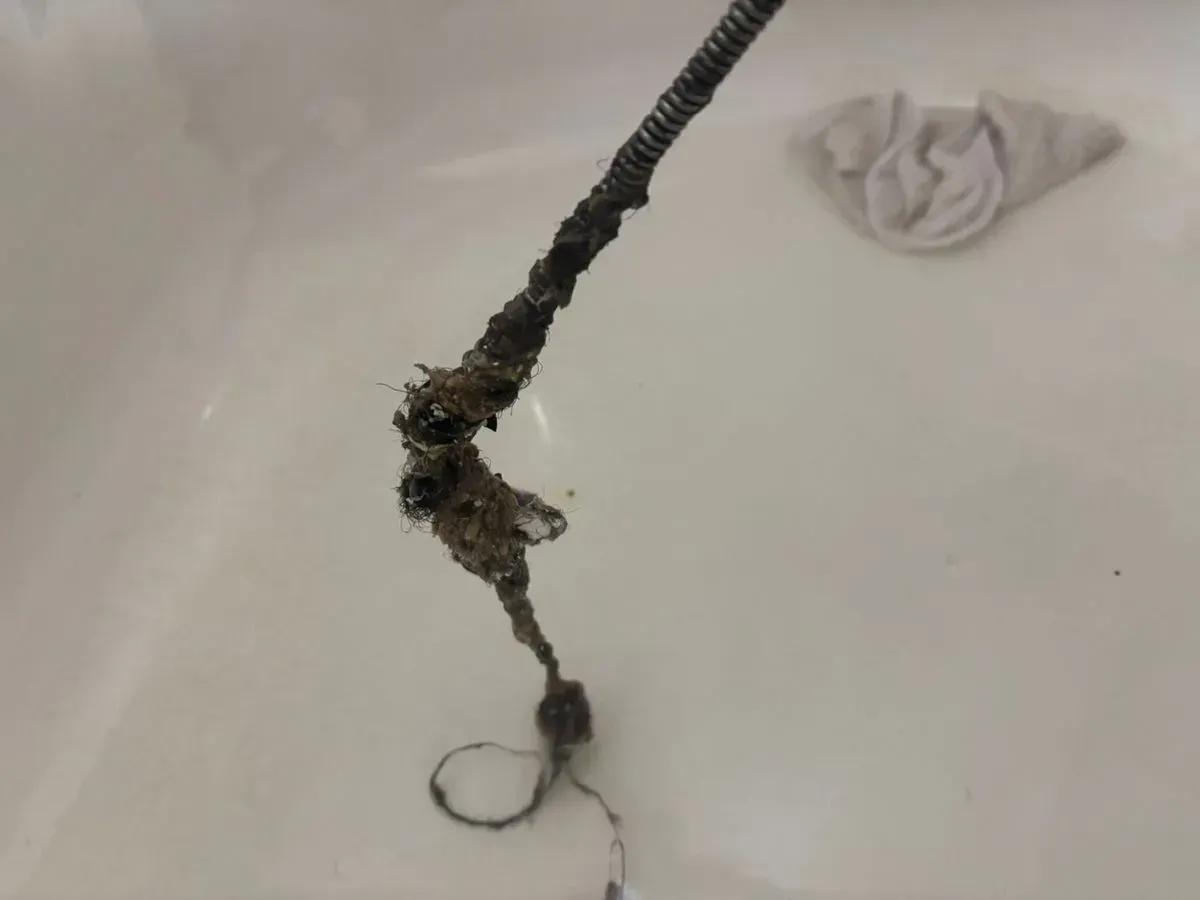 A drain snake with a large clump of hair and debris pulled from a white tub.