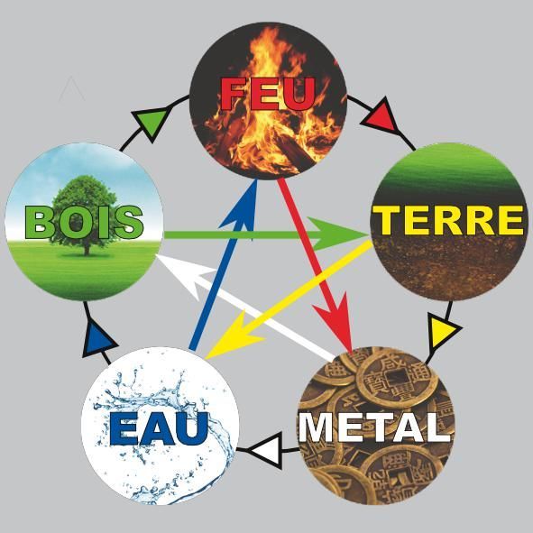 un diagramme montrant les quatre éléments de la nature : bois feu terre eau et métal