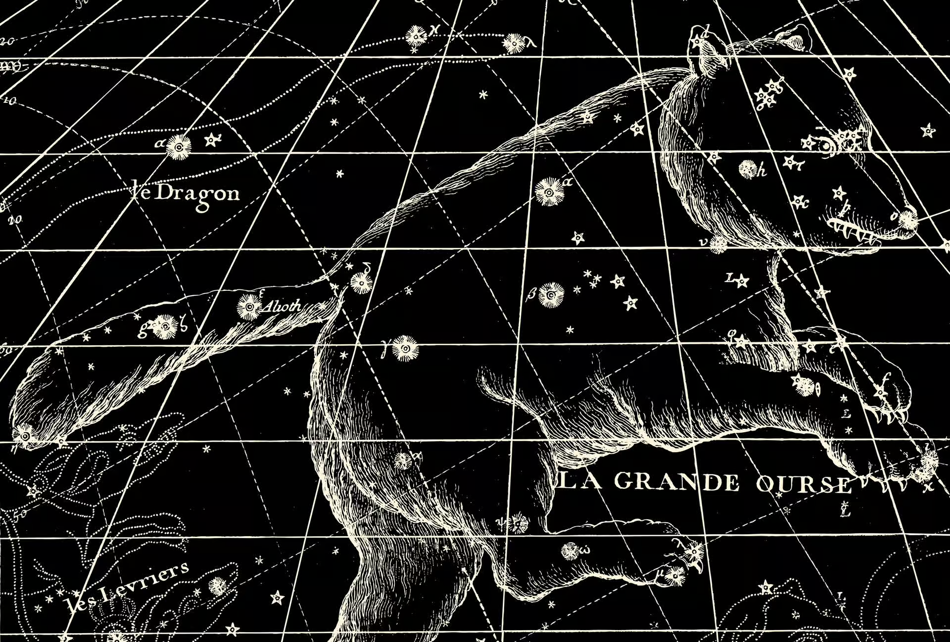 un dessin en noir et blanc de la constellation du dragon