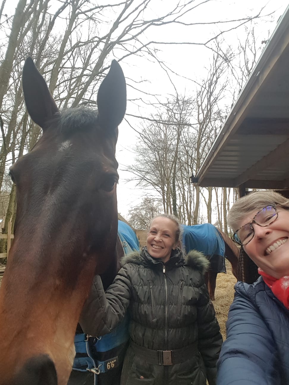 deux femmes se tiennent l' une à côté de l' autre à côté d' un cheval
