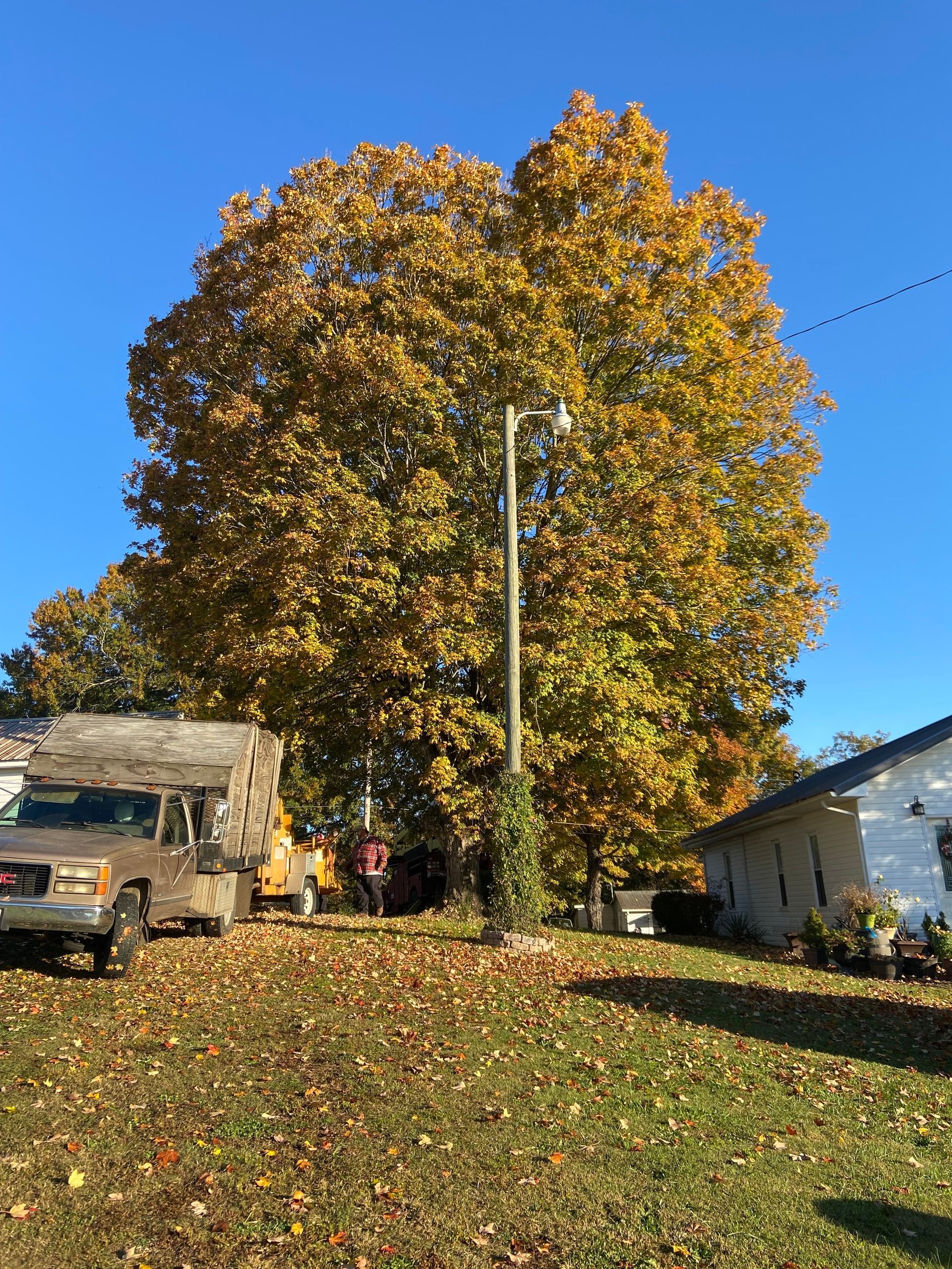 A truck is parked in front of a house with a large tree in the background.