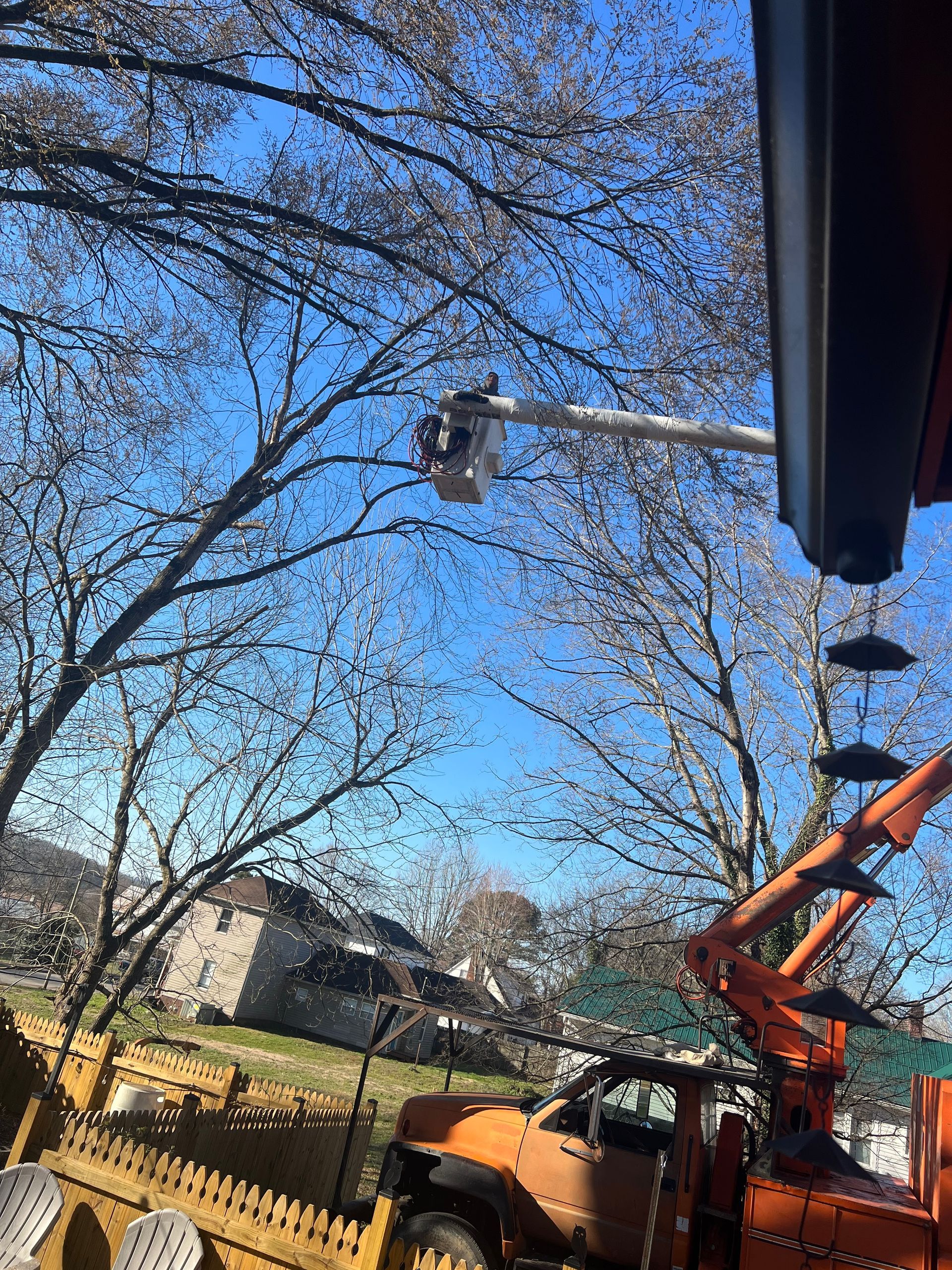 A man is cutting a tree with a crane.
