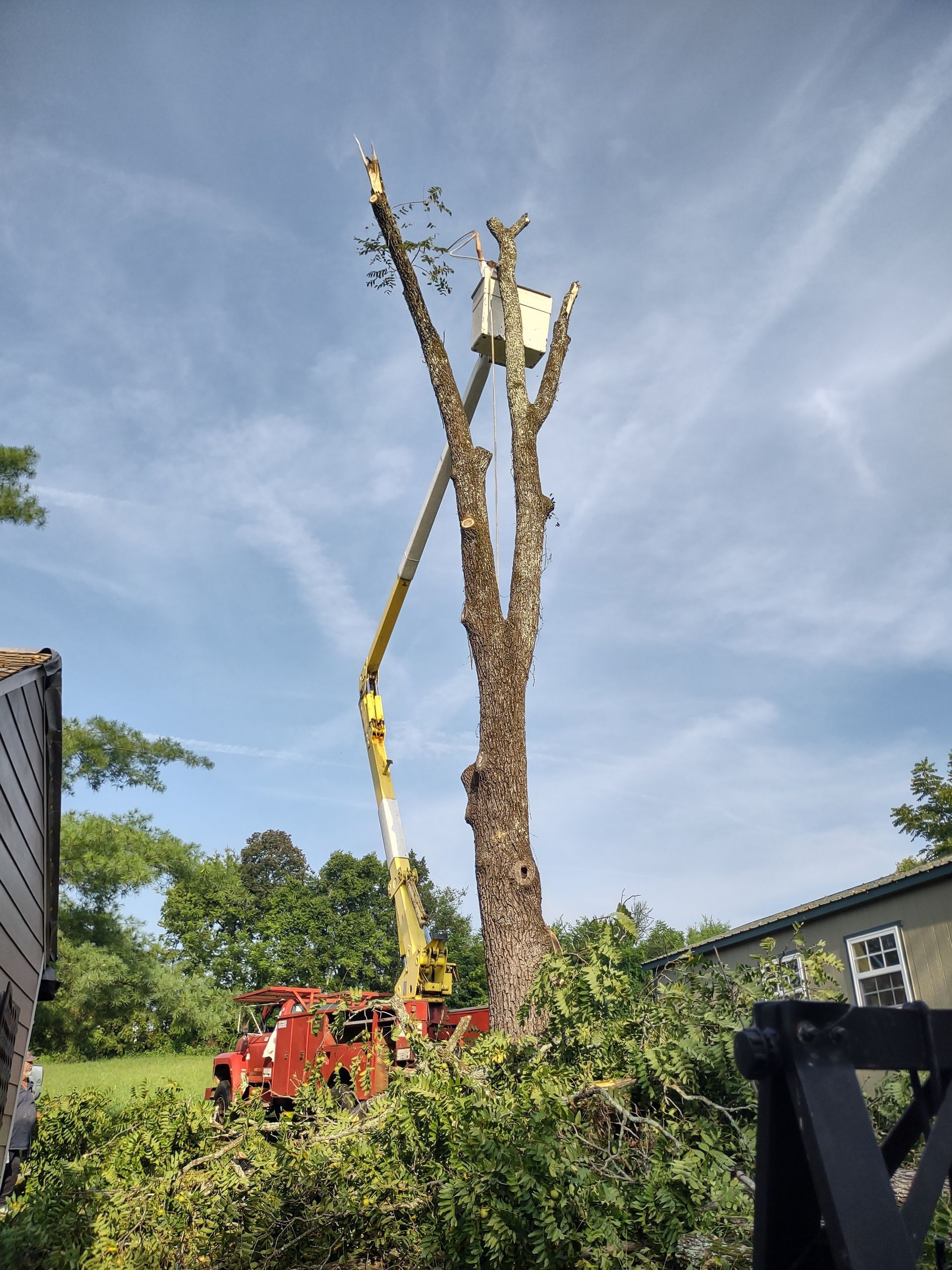 A man is cutting a tree with a crane.
