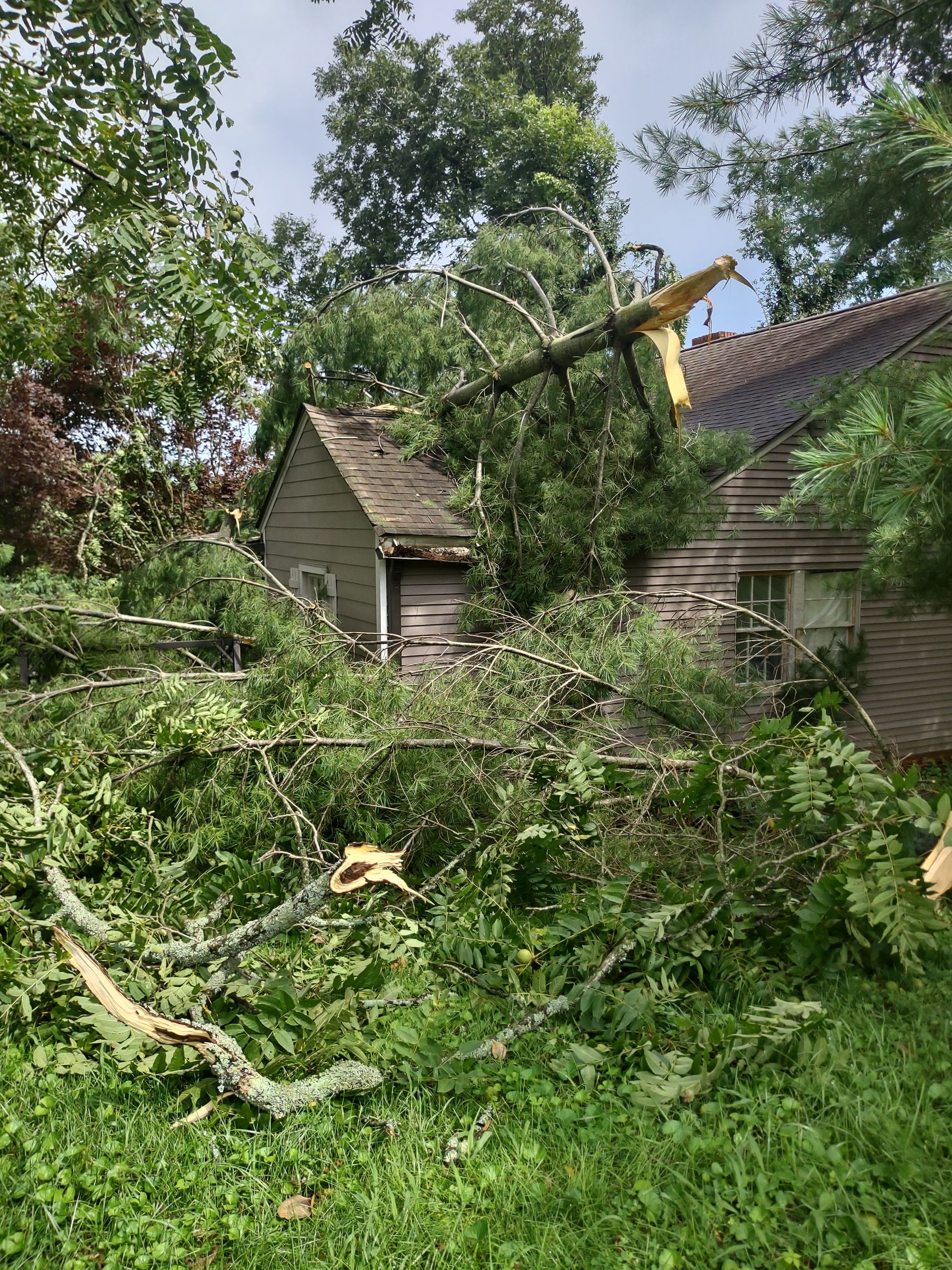 A tree that has been knocked over by a storm in front of a house.