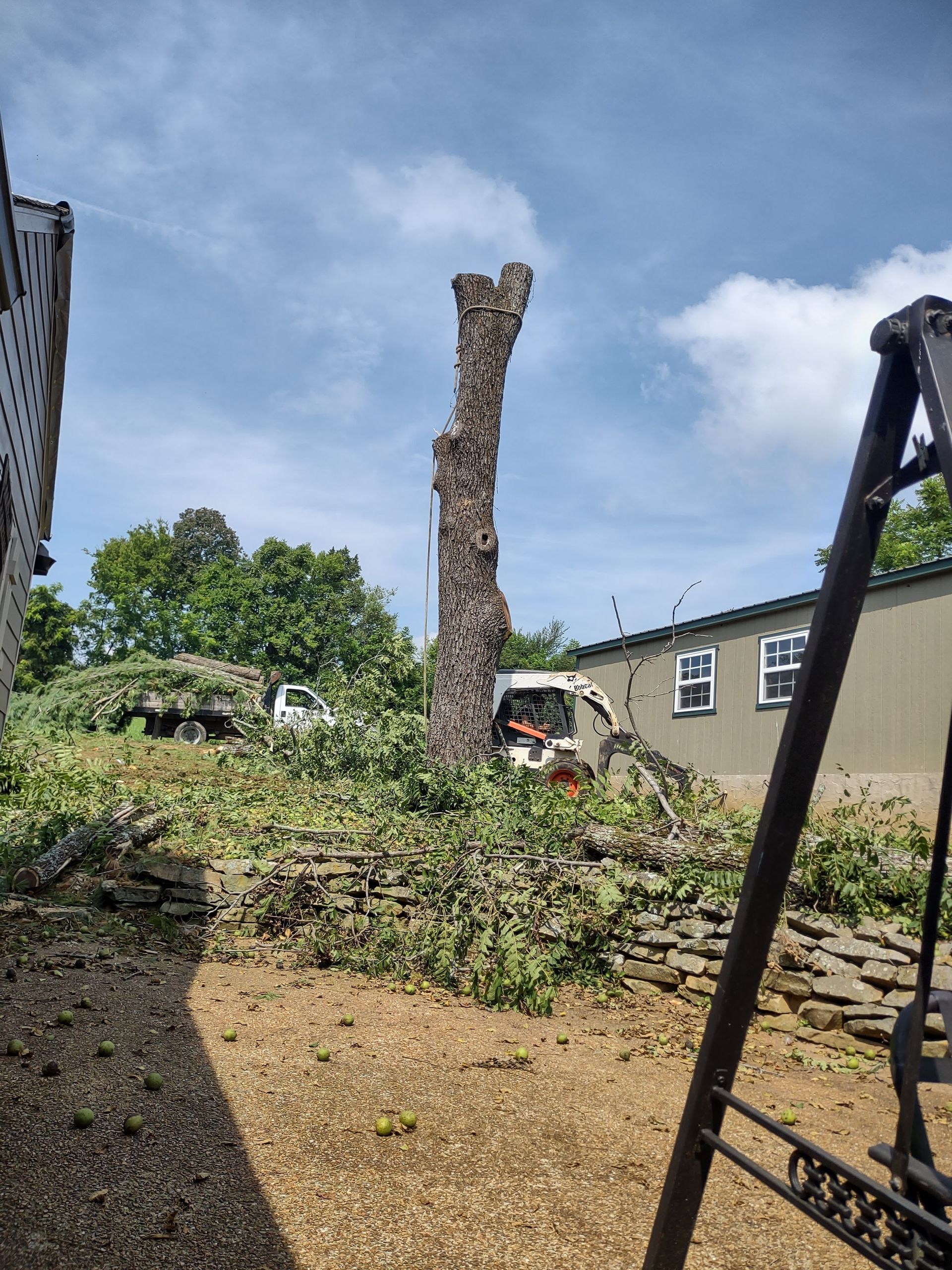 A tree is being removed from a yard in front of a house.