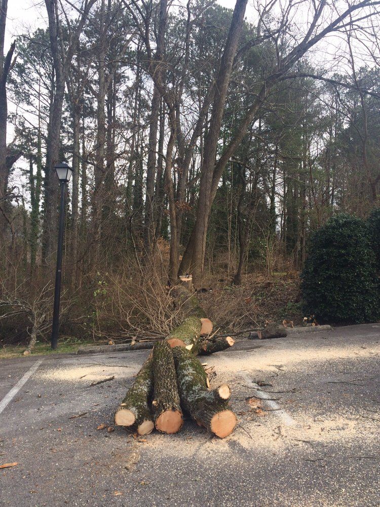A pile of logs is sitting on the side of a road in front of a forest.