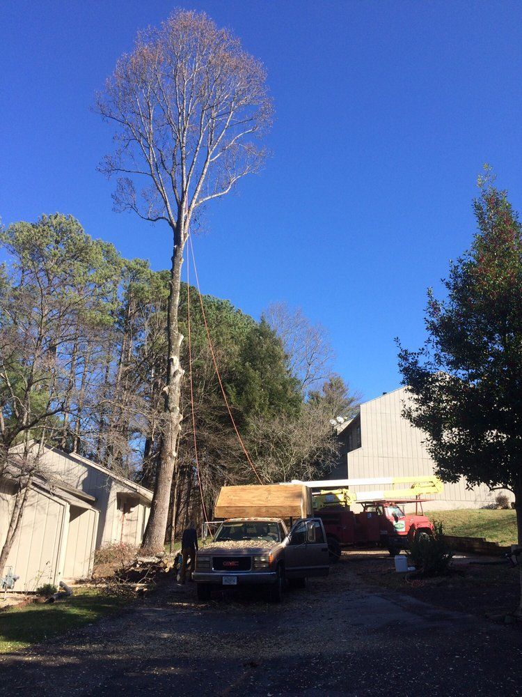 A truck is parked in a driveway next to a tree.
