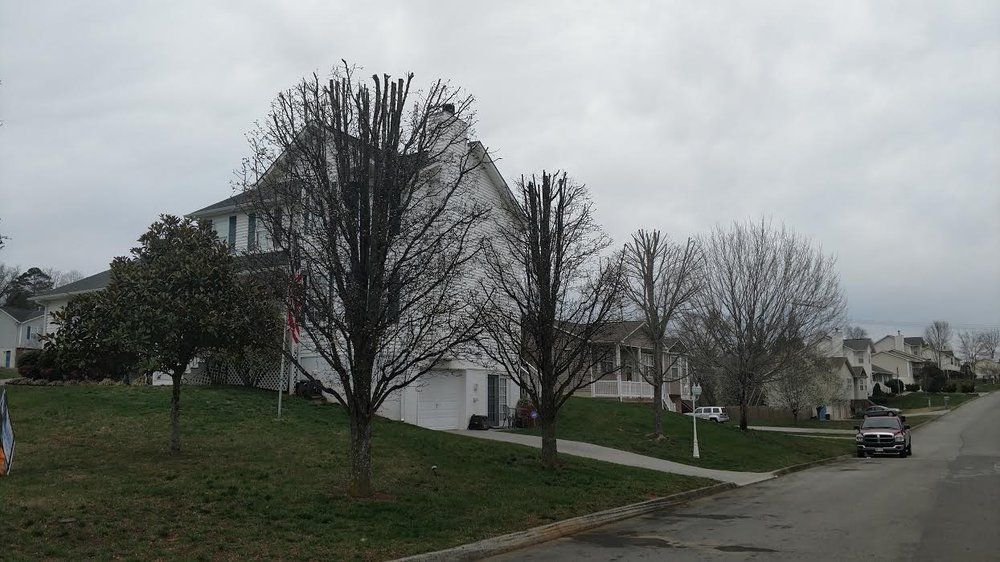 A white house is sitting on top of a grassy hill in a residential neighborhood.