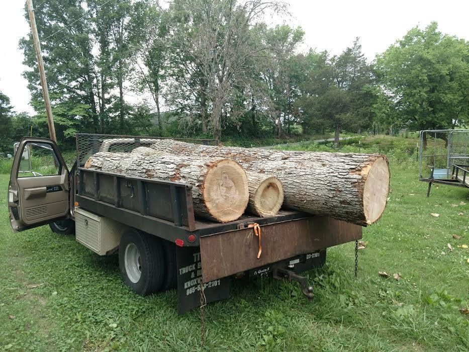 A dump truck filled with logs is parked in a grassy field.