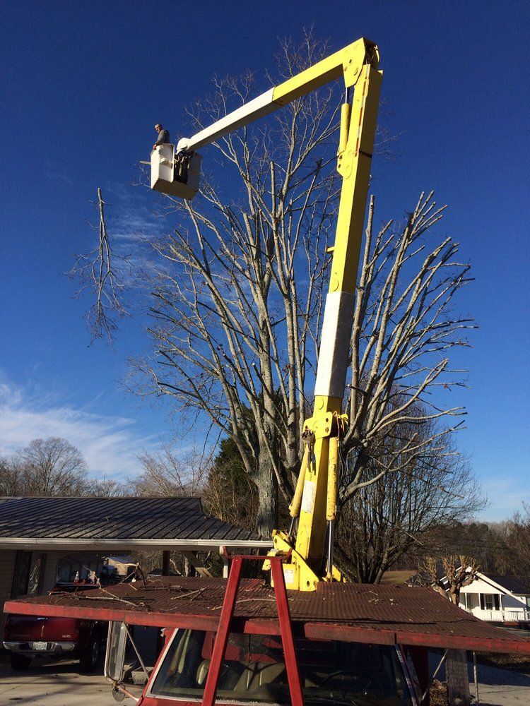A yellow crane is cutting a tree in front of a house.