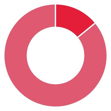 A pie chart with a red circle in the middle