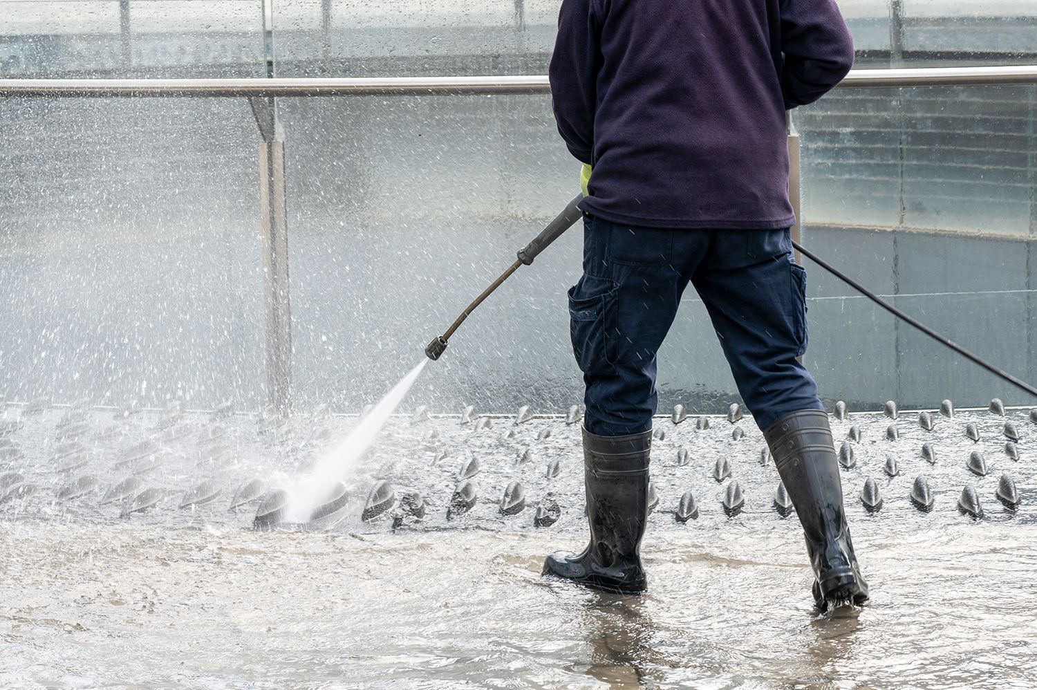 Person pressure-washing a wet concrete floor in a greenhouse Person pressure-washing a wet concrete floor in a greenhouse
