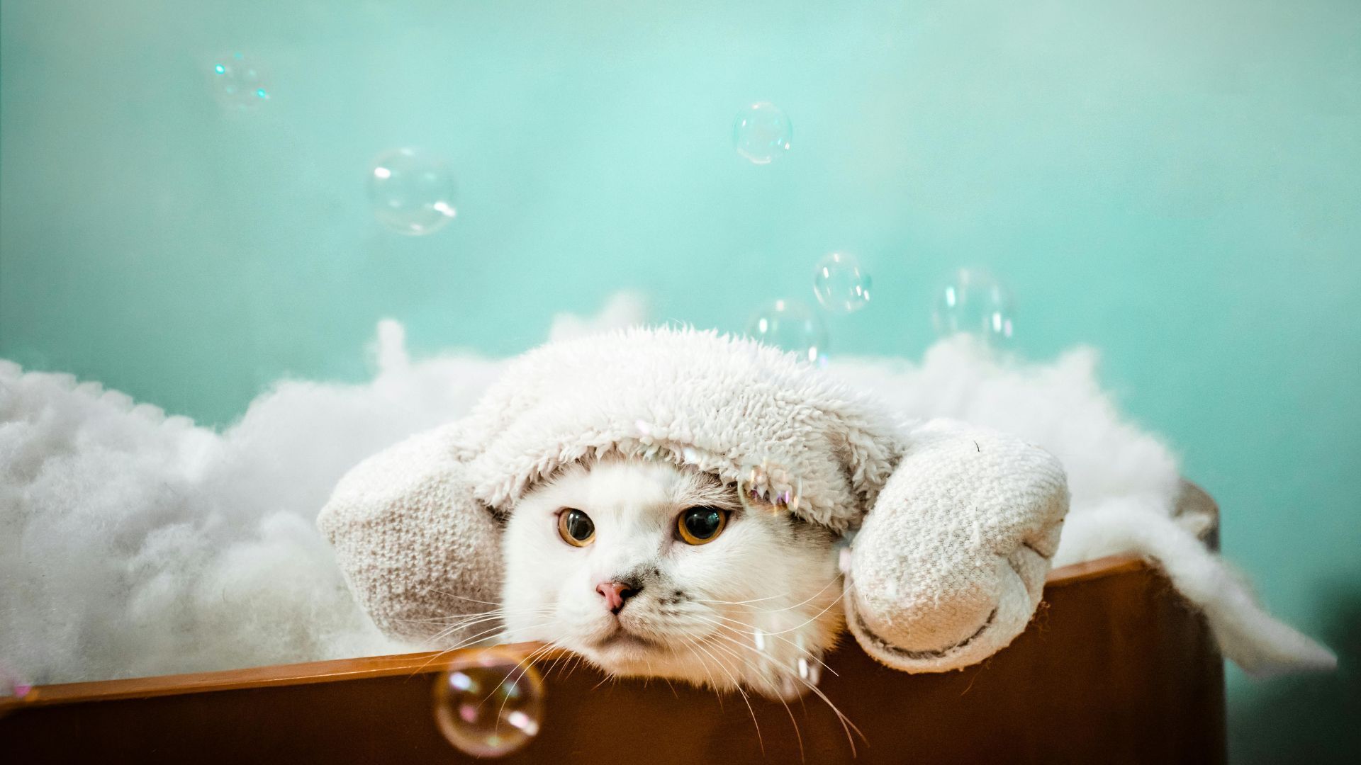 White cat in a fluffy hat and mittens relaxing in a wooden tub with bubbles.