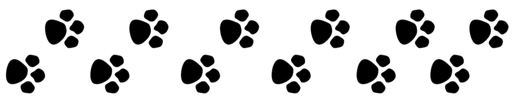 Two rows of paw prints.