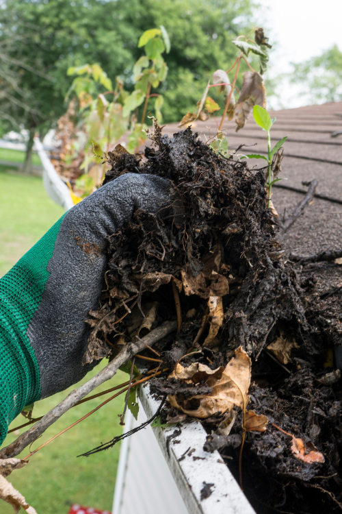 A person is cleaning a gutter from leaves and branches.