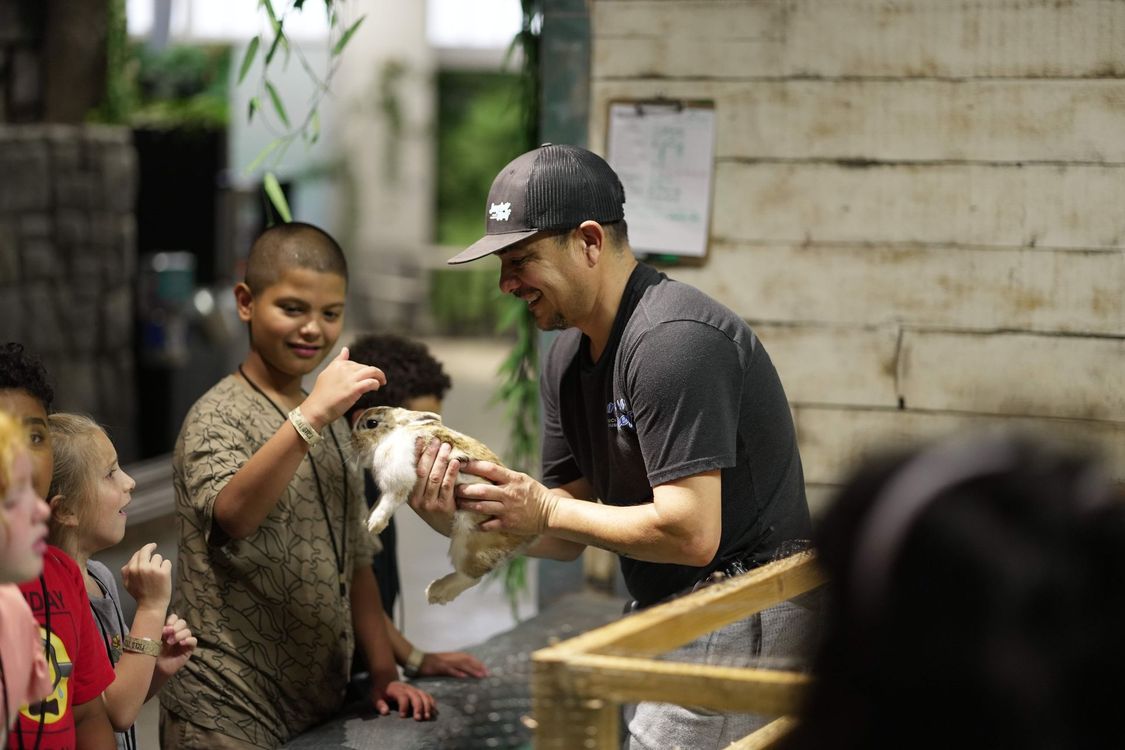 Shopping Mall | Shopping & Dining in El Paso, TX | The Shoppes at Solana