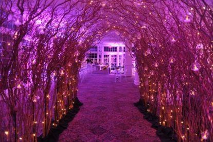 Purple-lit tunnel of intertwined branches leading to a lit building at night