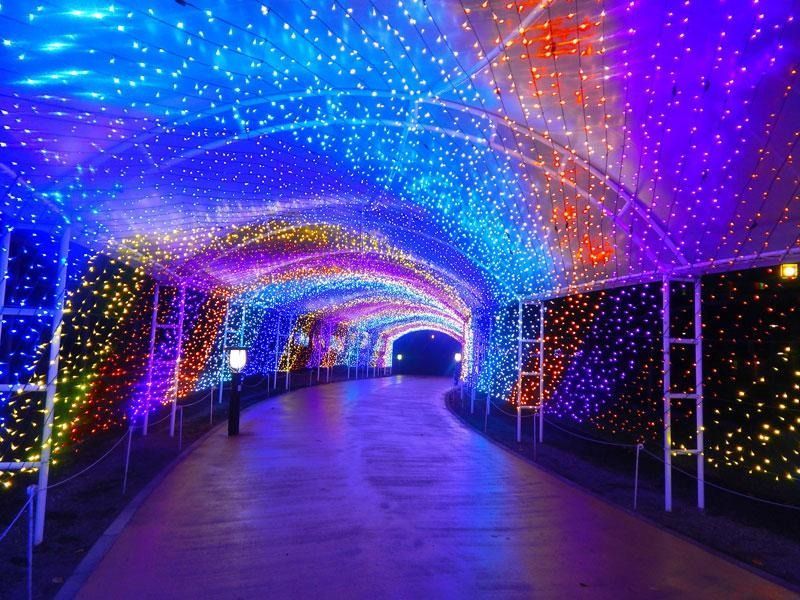 Colorful LED light tunnel over a walkway at night, with blue, purple, and orange arches