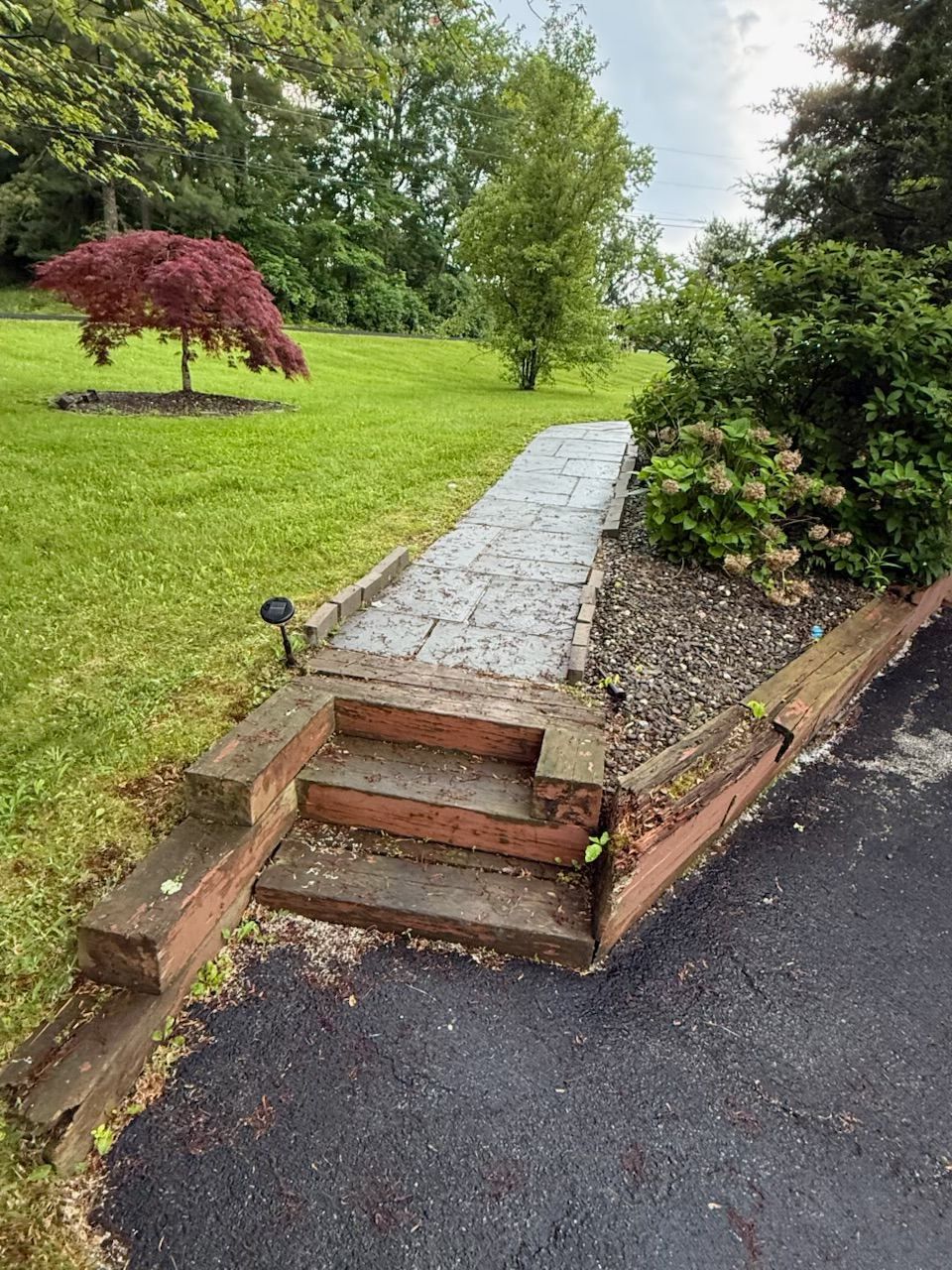 Stone pathway with steps, leading up from asphalt, surrounded by grass and plants.