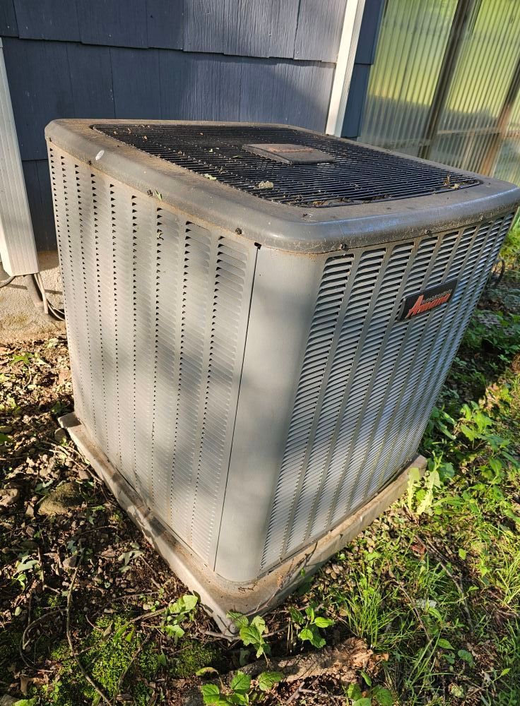 Air conditioner unit outside a building, surrounded by grass and foliage.