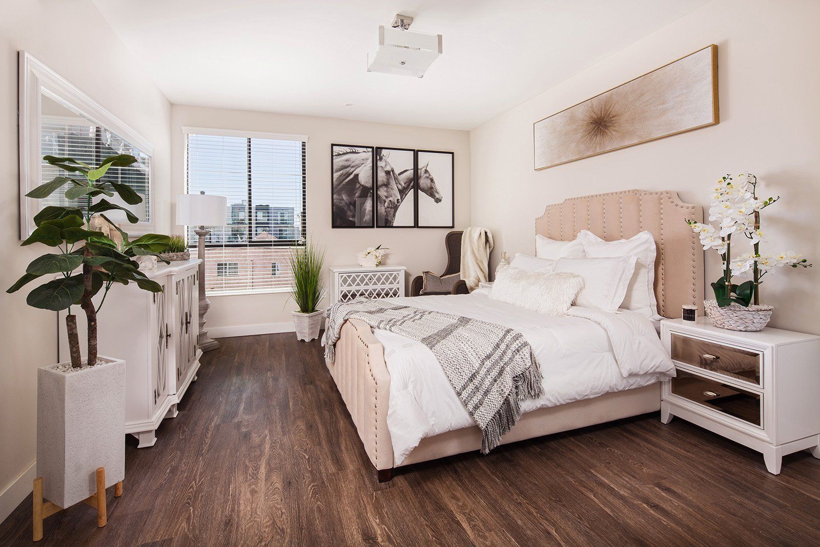NoHo 5500 Photo Gallery